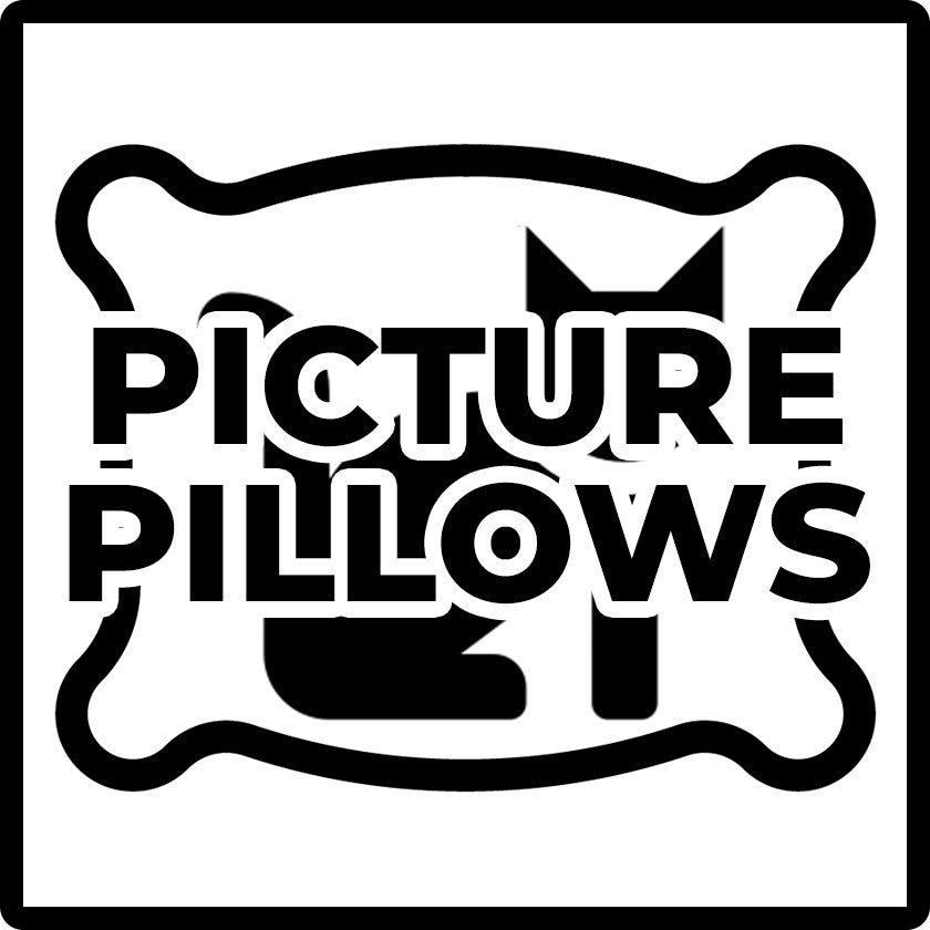 Shop Throw Pillows from Worldwide Shirts