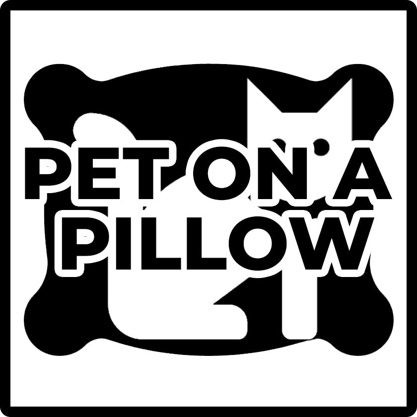 Your Pet on a Pillow