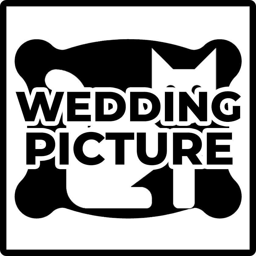 Your Wedding Picture on a Pillow