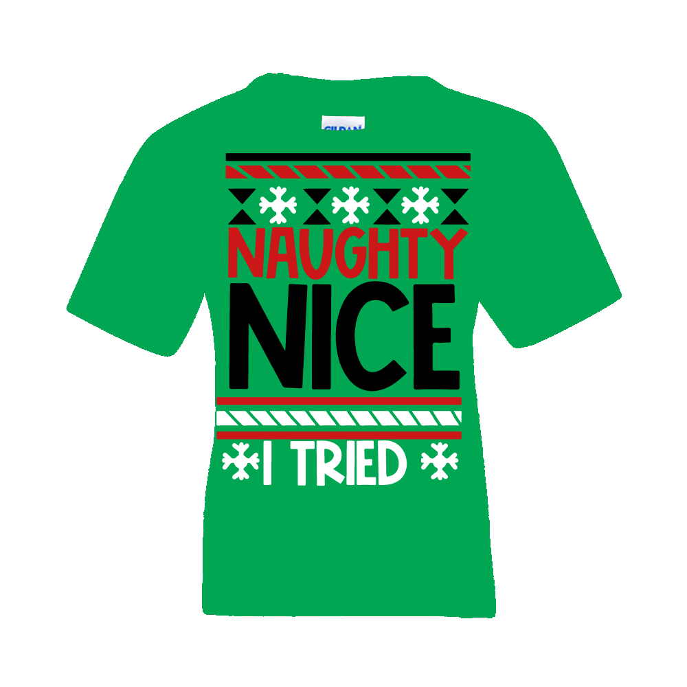 Short Sleeve T-Shirt: "Naughty - Nice I Tried" - FREE SHIPPING
