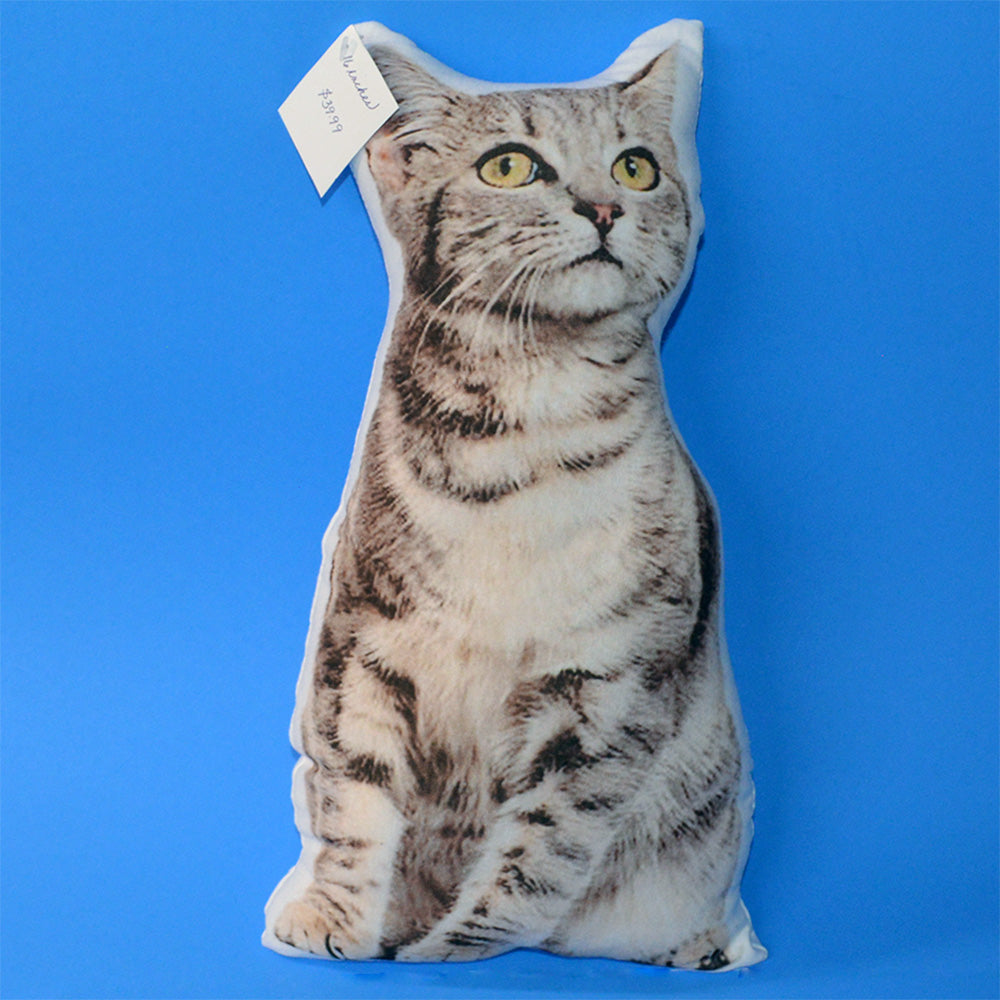 Custom Contoured Pillow: Your Cat Picture