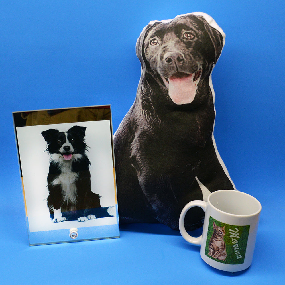 Custom Contoured Pillow: Your Dog Picture